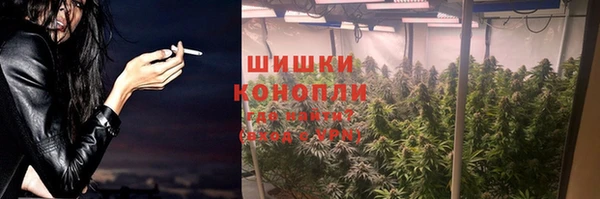 шишки Слюдянка