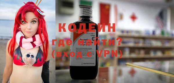 шишки Слюдянка