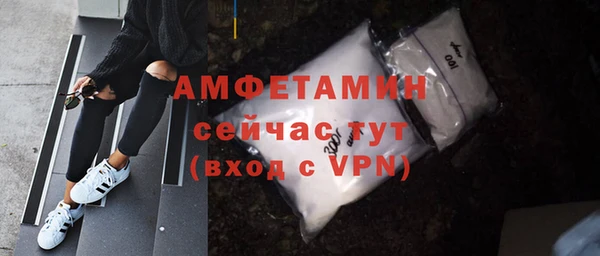 шишки Слюдянка