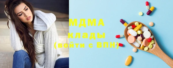 шишки Слюдянка