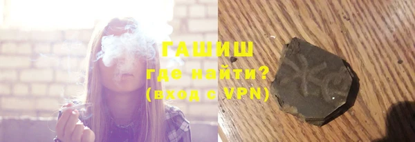 шишки Слюдянка