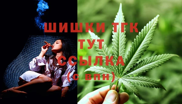 не бодяженный Снежногорск