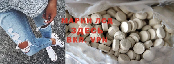 шишки Слюдянка