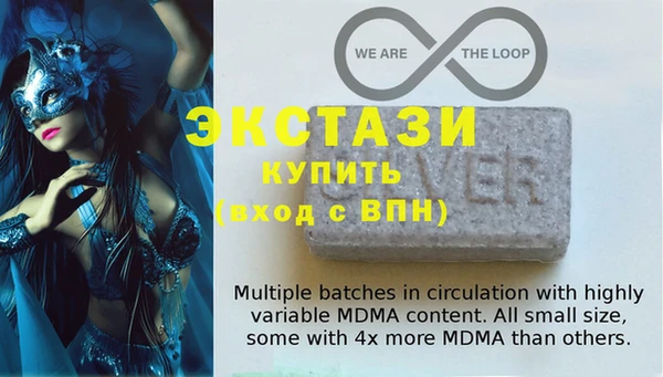 шишки Слюдянка