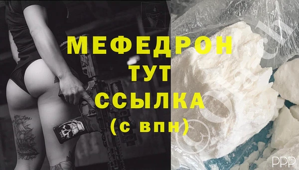 шишки Слюдянка