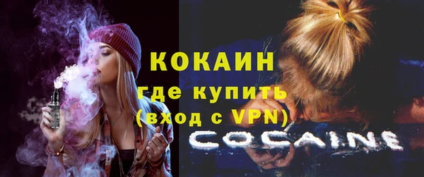 шишки Слюдянка