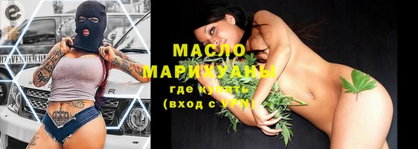 шишки Слюдянка