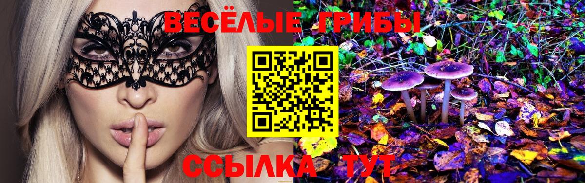 Метадон  Урюпинск  MDMA  COCAIN  A-PVP СК кристаллы  НБОМе  Где купить наркотики?  Меф МЯУ МЯУ   Вход с VPN  Гашиш 