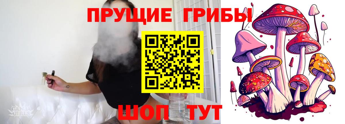 Псилоцибиновые грибы мухоморы  купить закладку  Урюпинск 